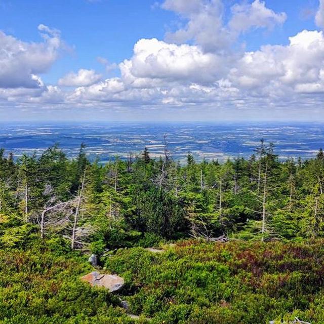 Dom Goscinny Finezja Świeradów-Zdrój エクステリア 写真