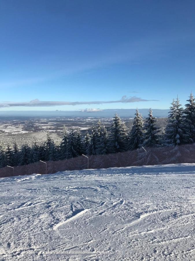 Dom Goscinny Finezja Świeradów-Zdrój エクステリア 写真